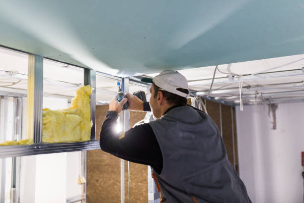Best Insulation Maintenance and Repair in Weslaco, TX