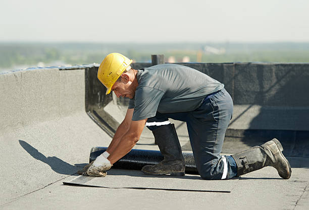 Best Insulation Installation Services in Weslaco, TX