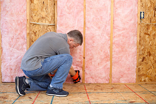 Best Residential Insulation in Weslaco, TX
